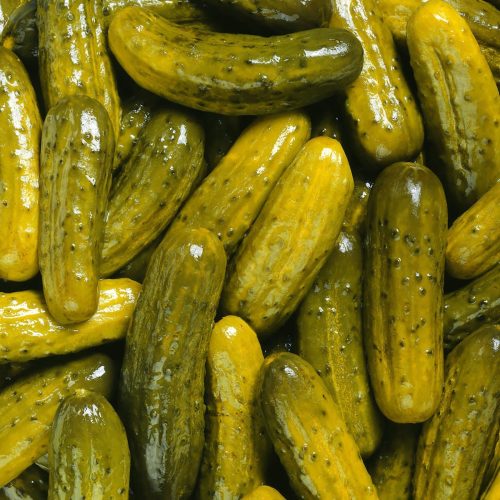 ny-sour-pickles-1-gallon.ffc0f44a0be85000ee4399f282cd751c
